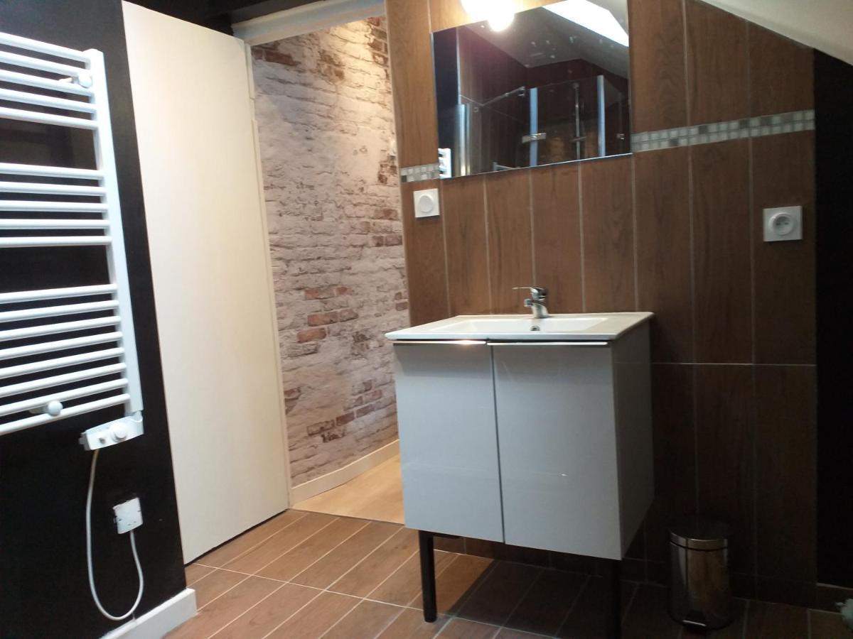 Les Volets Bleus - Deux Appartements Et Un Studio, Jardin Bourges Buitenkant foto