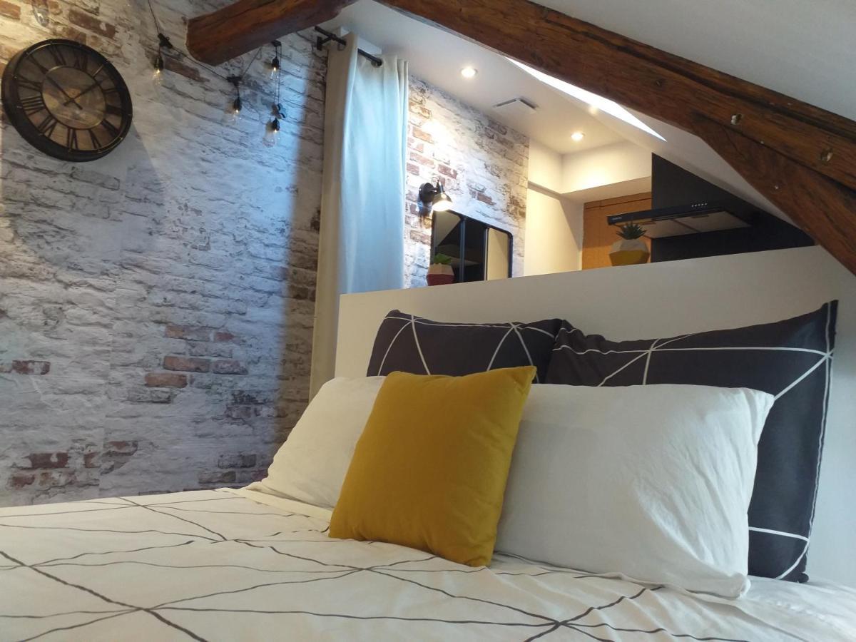 Les Volets Bleus - Deux Appartements Et Un Studio, Jardin Bourges Buitenkant foto