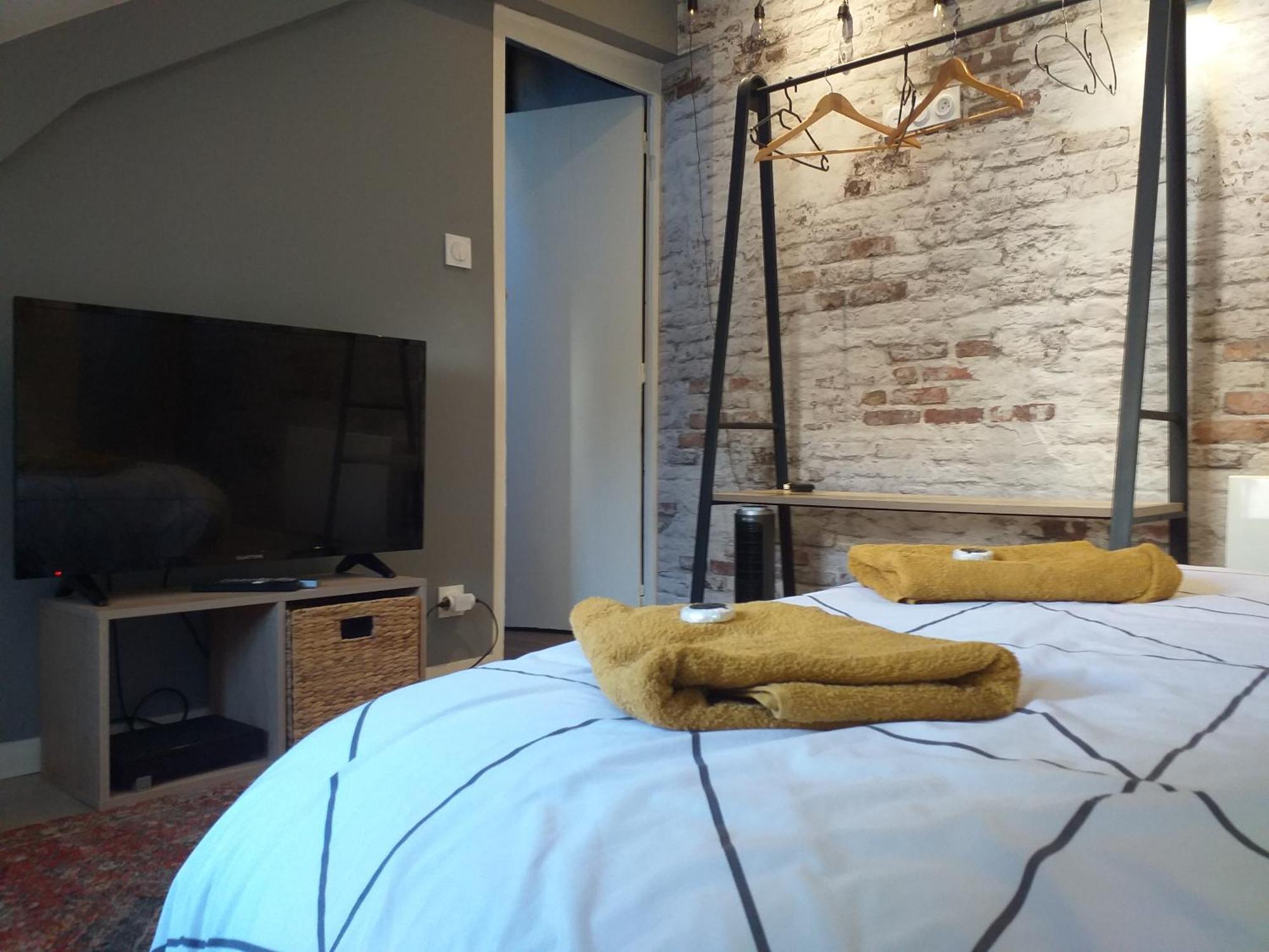 Les Volets Bleus - Deux Appartements Et Un Studio, Jardin Bourges Kamer foto