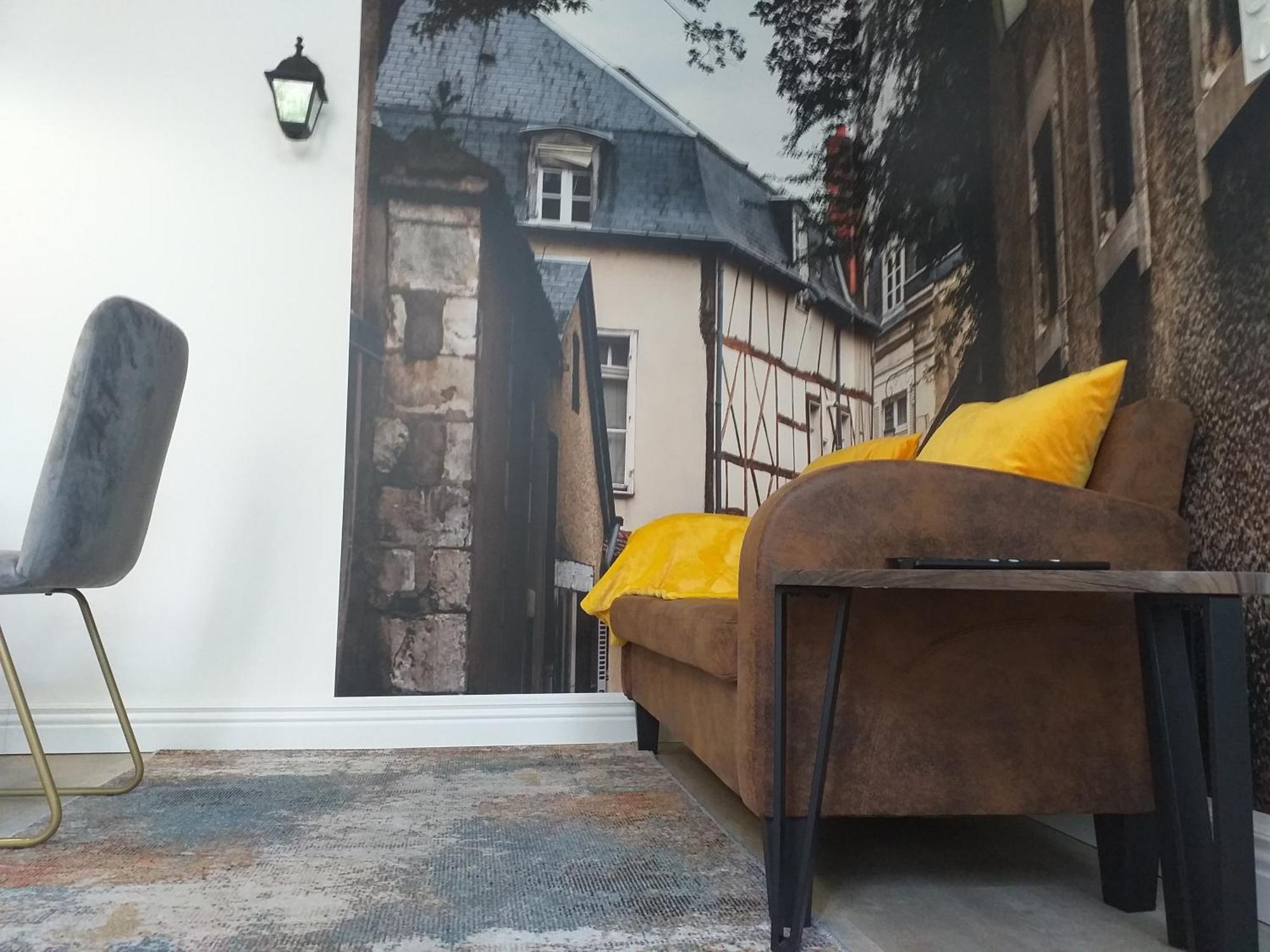 Les Volets Bleus - Deux Appartements Et Un Studio, Jardin Bourges Kamer foto