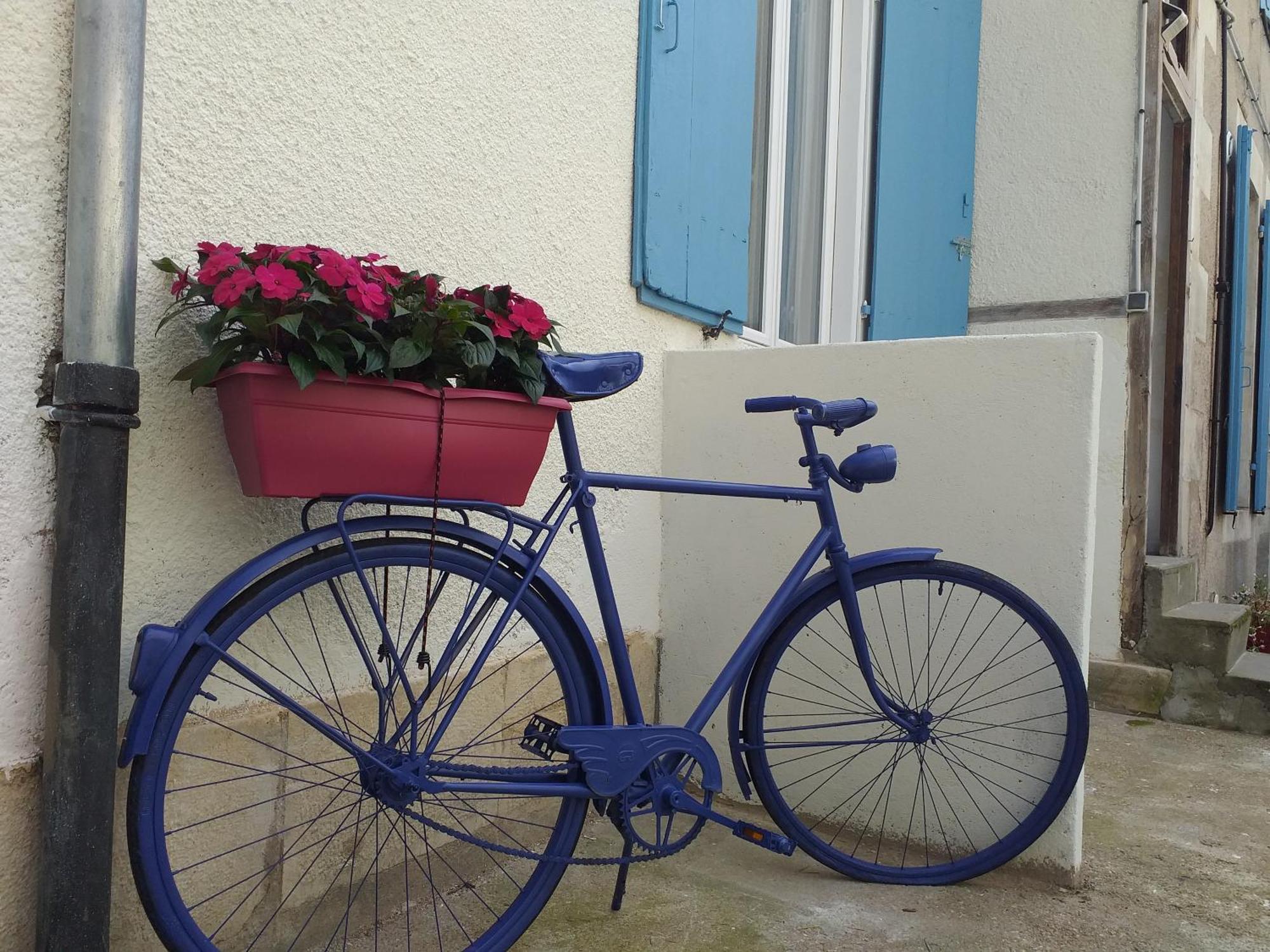 Les Volets Bleus - Deux Appartements Et Un Studio, Jardin Bourges Kamer foto